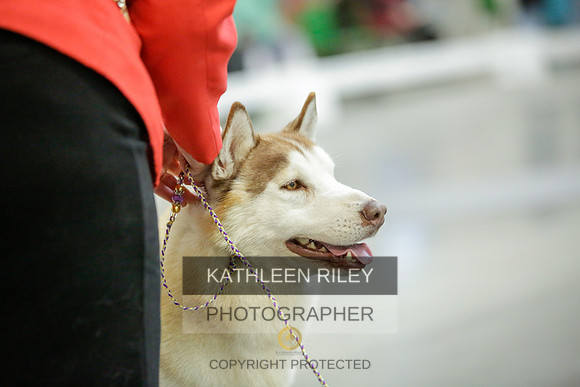 2022-KathleenRileyPhotography-9035