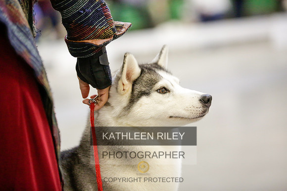 2022-KathleenRileyPhotography-9044