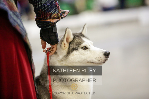 2022-KathleenRileyPhotography-9045