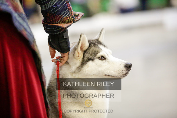 2022-KathleenRileyPhotography-9046