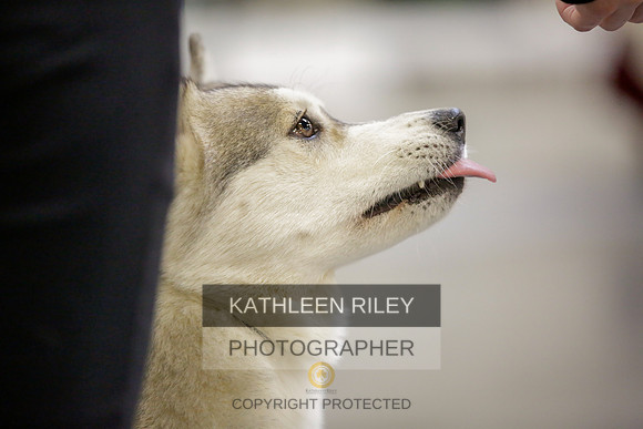 2022-KathleenRileyPhotography-9047