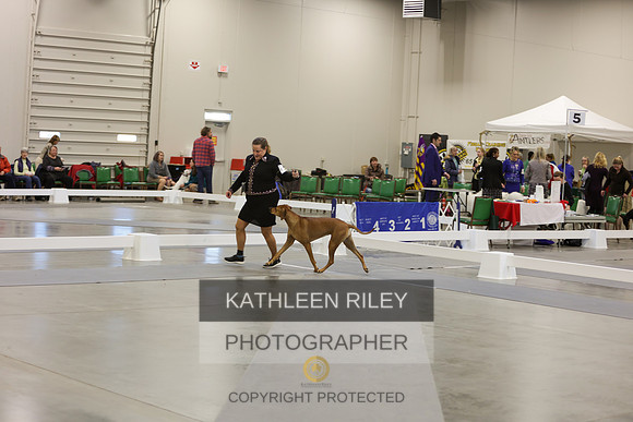 2022-KathleenRileyPhotography-9000