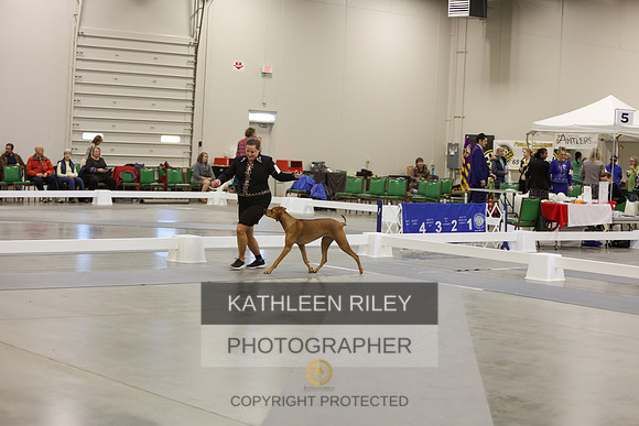 2022-KathleenRileyPhotography-9002