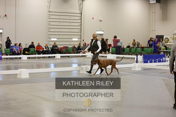 2022-KathleenRileyPhotography-9019-2