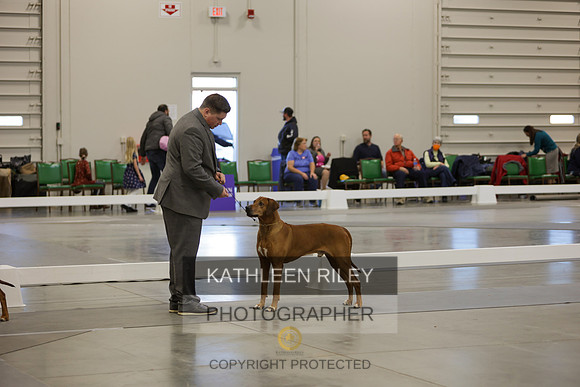 2022-KathleenRileyPhotography-9032