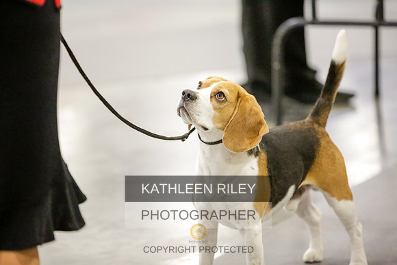 2022-KathleenRileyPhotography-9051