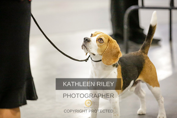2022-KathleenRileyPhotography-9052