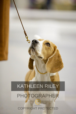 2022-KathleenRileyPhotography-9053