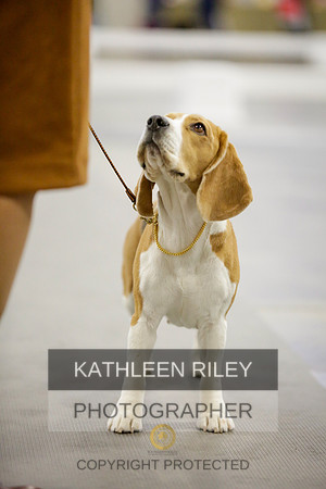 2022-KathleenRileyPhotography-9055
