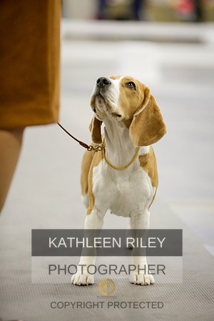 2022-KathleenRileyPhotography-9056
