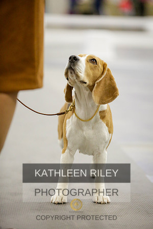 2022-KathleenRileyPhotography-9057