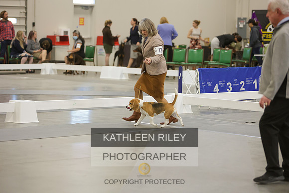 2022-KathleenRileyPhotography-9051-2