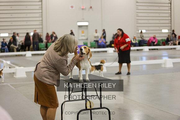 2022-KathleenRileyPhotography-9064