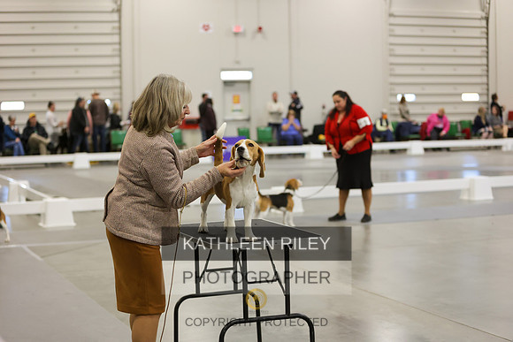 2022-KathleenRileyPhotography-9065