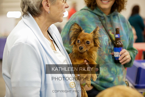 2022-KathleenRileyPhotography-9061-2