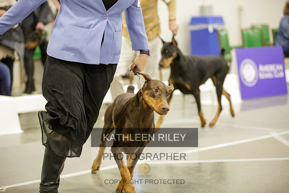 2022-KathleenRileyPhotography-9077