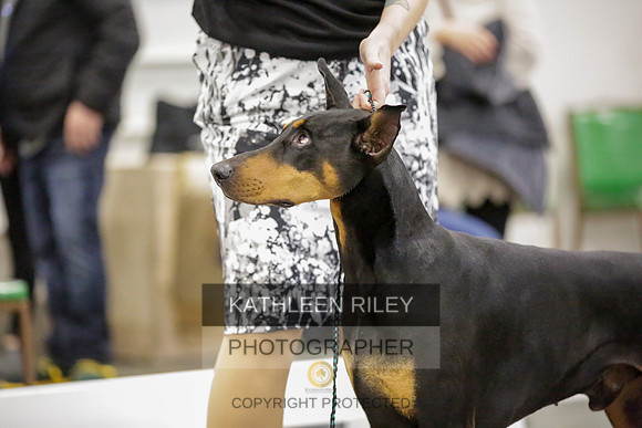 2022-KathleenRileyPhotography-9081