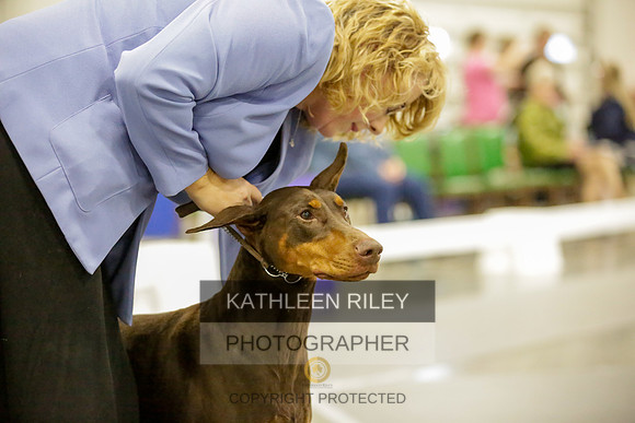 2022-KathleenRileyPhotography-9087