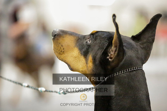 2022-KathleenRileyPhotography-9090
