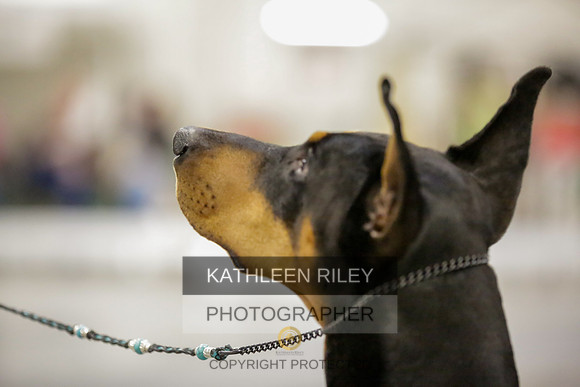 2022-KathleenRileyPhotography-9091