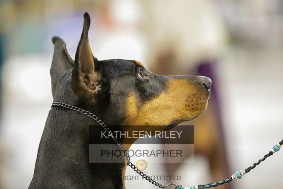 2022-KathleenRileyPhotography-9092