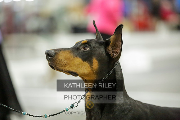 2022-KathleenRileyPhotography-9093