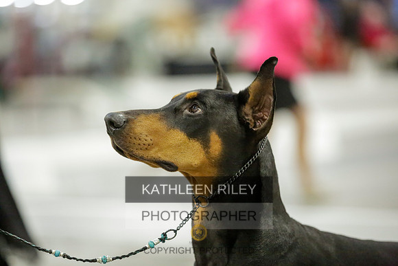 2022-KathleenRileyPhotography-9094