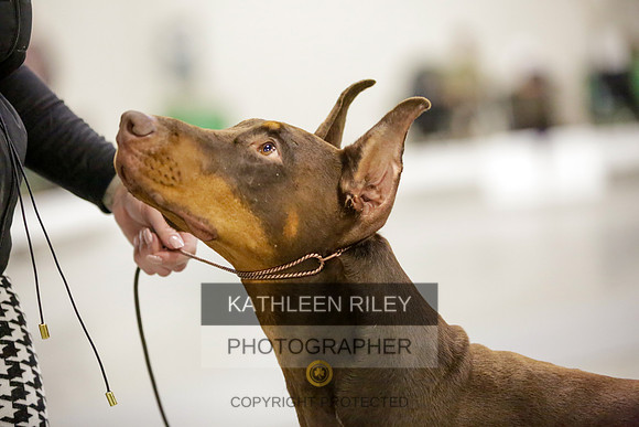 2022-KathleenRileyPhotography-9095