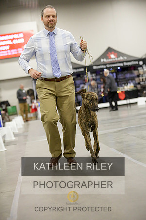 2022-KathleenRileyPhotography-9108