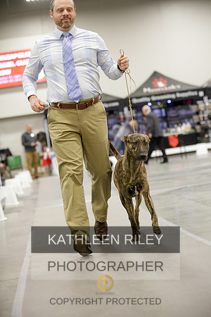 2022-KathleenRileyPhotography-9109