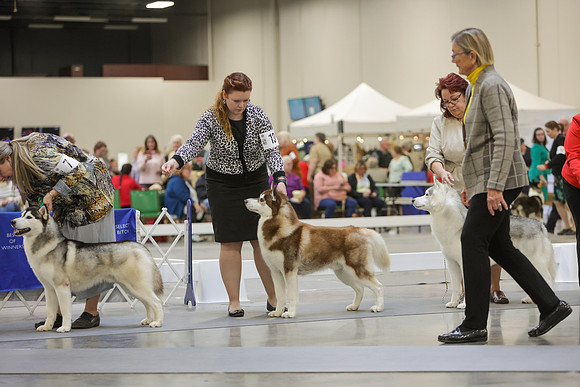 2022-KathleenRileyPhotography-8958
