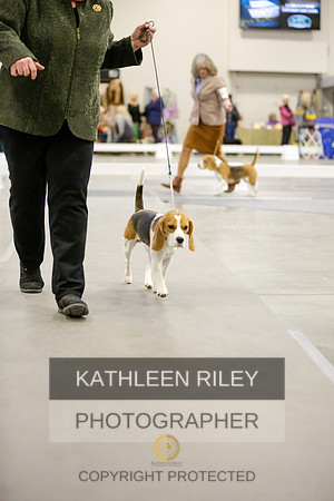 2022-KathleenRileyPhotography-9048