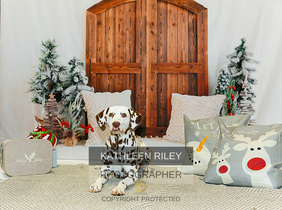 2022-KathleenRileyPhotography-1670