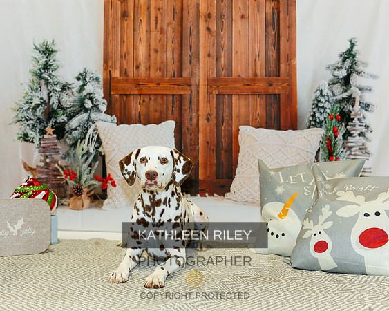 2022-KathleenRileyPhotography-1670-2