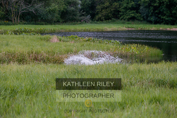 2022-KathleenRileyPhotography-3372