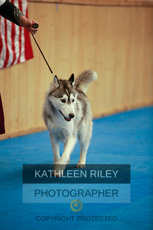 2022-KathleenRileyPhotography-6070