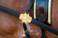Budweiser Clydesdale Midwest Hitch June 2015