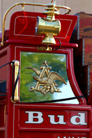 Budweiser Clydesdale Midwest Hitch June 2015