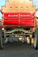 Budweiser Clydesdale Midwest Hitch June 2015