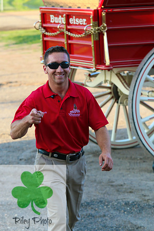 Budweiser Clydesdale Midwest Hitch June 2015