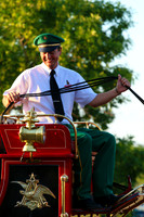 Budweiser Clydesdale Midwest Hitch June 2015