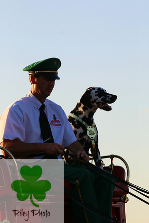 Budweiser Clydesdale Midwest Hitch Driver and Clyde the Dalmatian June 2015