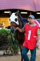 Mutually Exclusive  Canterbury Park Race 5 on 18 June 2015