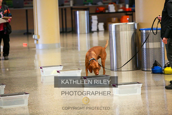 2022-KathleenRileyPhotography-7520