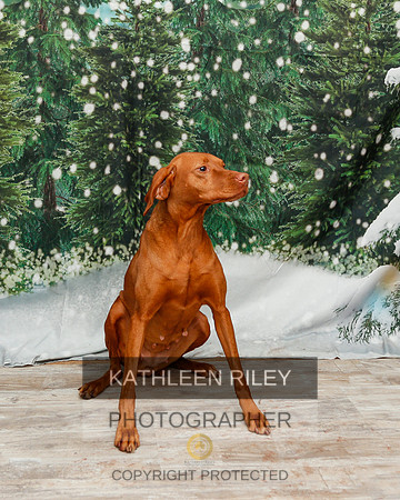 2022-KathleenRileyPhotography-2032