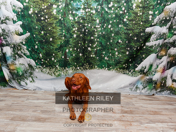 2022-KathleenRileyPhotography-2033