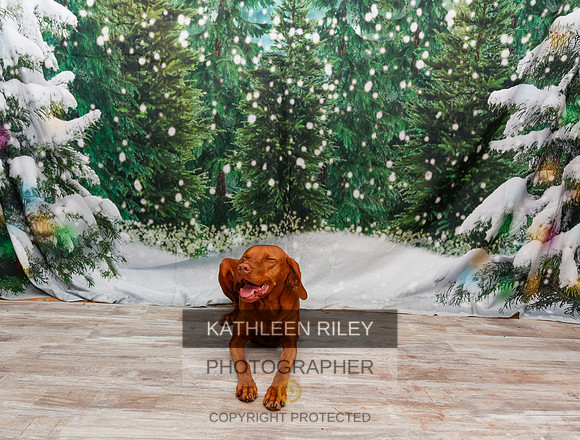 2022-KathleenRileyPhotography-2034