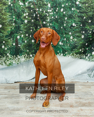 2022-KathleenRileyPhotography-2038