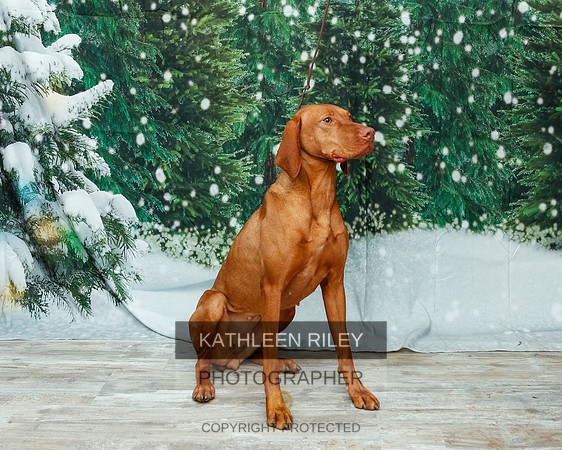 2022-KathleenRileyPhotography-2040