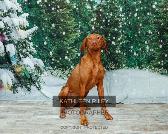 2022-KathleenRileyPhotography-2042